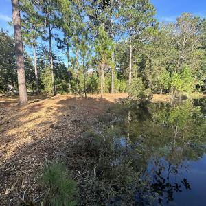 Photo #37 of SOLD property in 1133 Rockfish Drive, Manning, SC 1.5 acres