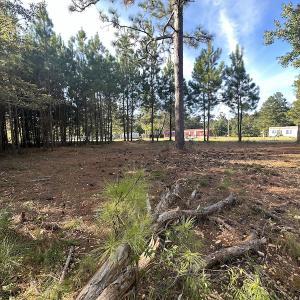 Photo #38 of SOLD property in 1133 Rockfish Drive, Manning, SC 1.5 acres