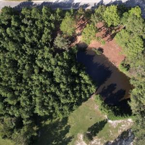 Photo #7 of SOLD property in 1133 Rockfish Drive, Manning, SC 1.5 acres