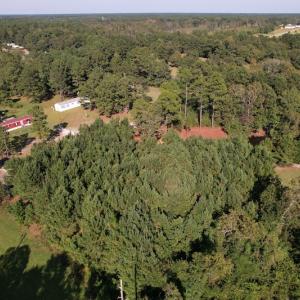 Photo #8 of SOLD property in 1133 Rockfish Drive, Manning, SC 1.5 acres