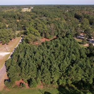 Photo #9 of SOLD property in 1133 Rockfish Drive, Manning, SC 1.5 acres