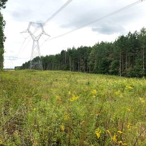 Photo #23 of Off Baxter Road, Disputanta, VA 25.0 acres