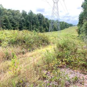Photo #24 of Off Baxter Road, Disputanta, VA 25.0 acres