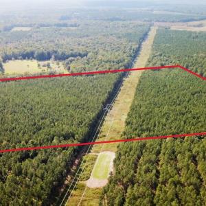 Photo #28 of Off Baxter Road, Disputanta, VA 25.0 acres