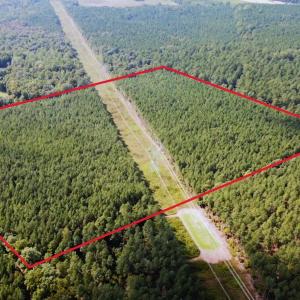 Photo #29 of Off Baxter Road, Disputanta, VA 25.0 acres