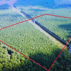 Photo #30 of Off Baxter Road, Disputanta, VA 25.0 acres