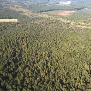 Photo #33 of Off Newville Road, Waverly, VA 150.0 acres