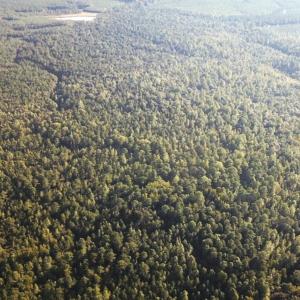 Photo #30 of Off Newville Road, Waverly, VA 150.0 acres