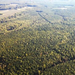 Photo #31 of Off Newville Road, Waverly, VA 150.0 acres