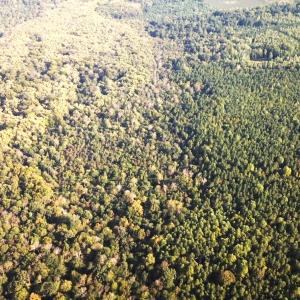 Photo #34 of Off Newville Road, Waverly, VA 150.0 acres