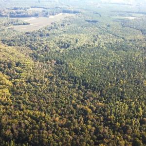 Photo #35 of Off Newville Road, Waverly, VA 150.0 acres