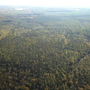 Photo #36 of Off Newville Road, Waverly, VA 150.0 acres