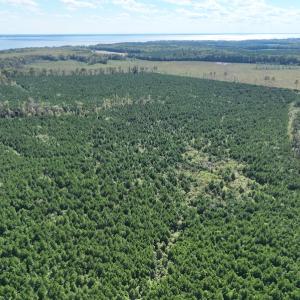 Photo #11 of 500 Indian Trail Road, Edenton, NC 963.8 acres