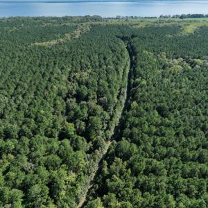 Photo #12 of 500 Indian Trail Road, Edenton, NC 963.8 acres