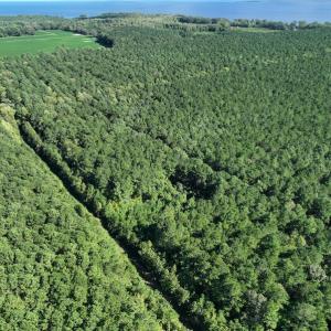 Photo #13 of 500 Indian Trail Road, Edenton, NC 963.8 acres