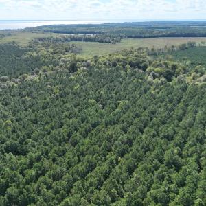 Photo #14 of 500 Indian Trail Road, Edenton, NC 963.8 acres