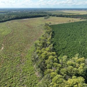 Photo #16 of 500 Indian Trail Road, Edenton, NC 963.8 acres