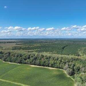 Photo #17 of 500 Indian Trail Road, Edenton, NC 963.8 acres