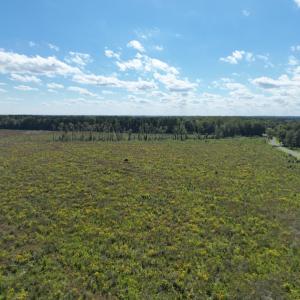 Photo #18 of 500 Indian Trail Road, Edenton, NC 963.8 acres