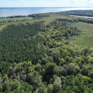 Photo #4 of 500 Indian Trail Road, Edenton, NC 963.8 acres