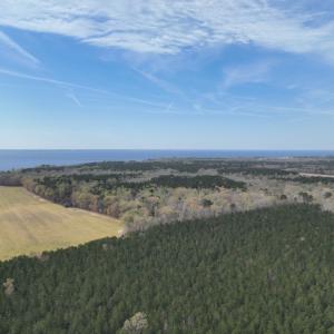 Photo #6 of 500 Indian Trail Road, Edenton, NC 963.8 acres