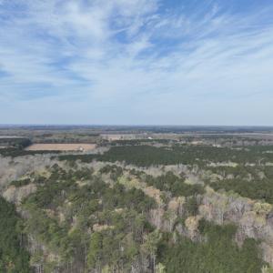 Photo #8 of 500 Indian Trail Road, Edenton, NC 963.8 acres