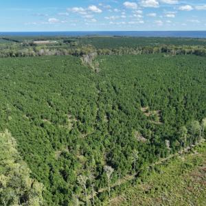 Photo #9 of 500 Indian Trail Road, Edenton, NC 963.8 acres