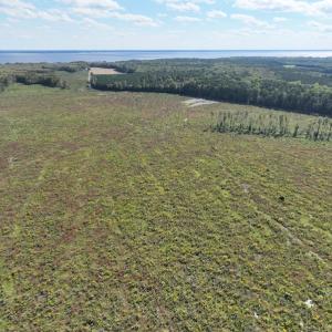 Photo #10 of 500 Indian Trail Road, Edenton, NC 963.8 acres