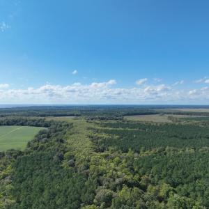 Photo #20 of 500 Indian Trail Road, Edenton, NC 963.8 acres