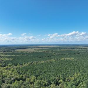 Photo #21 of 500 Indian Trail Road, Edenton, NC 963.8 acres