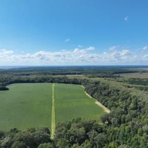 Photo #22 of 500 Indian Trail Road, Edenton, NC 963.8 acres