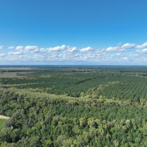 Photo #23 of 500 Indian Trail Road, Edenton, NC 963.8 acres