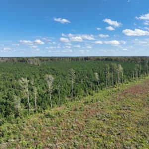 Photo #25 of 500 Indian Trail Road, Edenton, NC 963.8 acres