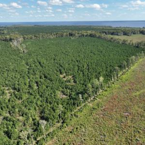 Photo #26 of 500 Indian Trail Road, Edenton, NC 963.8 acres