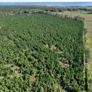 Photo #27 of 500 Indian Trail Road, Edenton, NC 963.8 acres