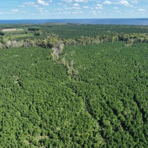 Photo #28 of 500 Indian Trail Road, Edenton, NC 963.8 acres
