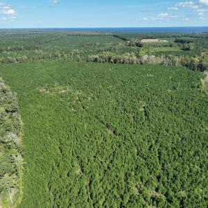 Photo #29 of 500 Indian Trail Road, Edenton, NC 963.8 acres