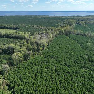 Photo #30 of 500 Indian Trail Road, Edenton, NC 963.8 acres