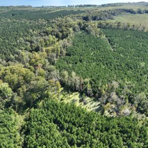 Photo #31 of 500 Indian Trail Road, Edenton, NC 963.8 acres
