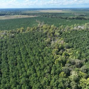 Photo #33 of 500 Indian Trail Road, Edenton, NC 963.8 acres