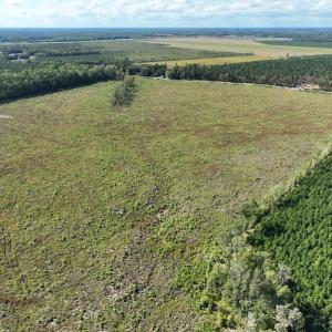 Photo #35 of 500 Indian Trail Road, Edenton, NC 963.8 acres