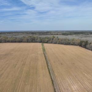 Photo #39 of 500 Indian Trail Road, Edenton, NC 963.8 acres