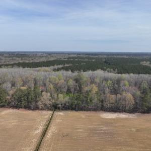 Photo #40 of 500 Indian Trail Road, Edenton, NC 963.8 acres