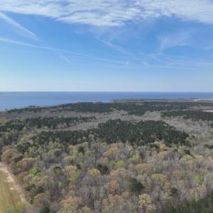 Photo #42 of 500 Indian Trail Road, Edenton, NC 963.8 acres