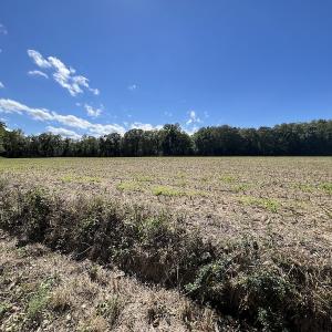 Photo #43 of 500 Indian Trail Road, Edenton, NC 963.8 acres
