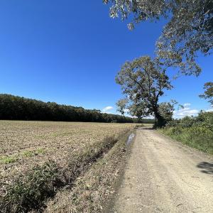 Photo #44 of 500 Indian Trail Road, Edenton, NC 963.8 acres