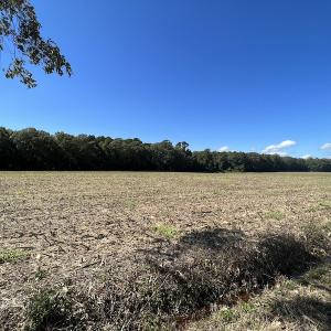 Photo #45 of 500 Indian Trail Road, Edenton, NC 963.8 acres