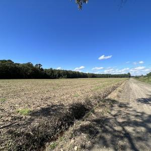 Photo #46 of 500 Indian Trail Road, Edenton, NC 963.8 acres
