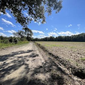 Photo #47 of 500 Indian Trail Road, Edenton, NC 963.8 acres