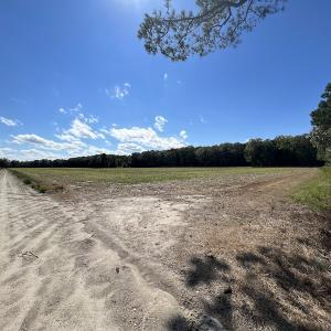 Photo #48 of 500 Indian Trail Road, Edenton, NC 963.8 acres